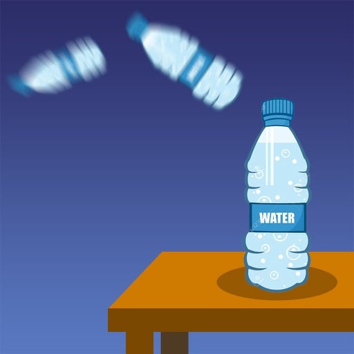Bottle Flip